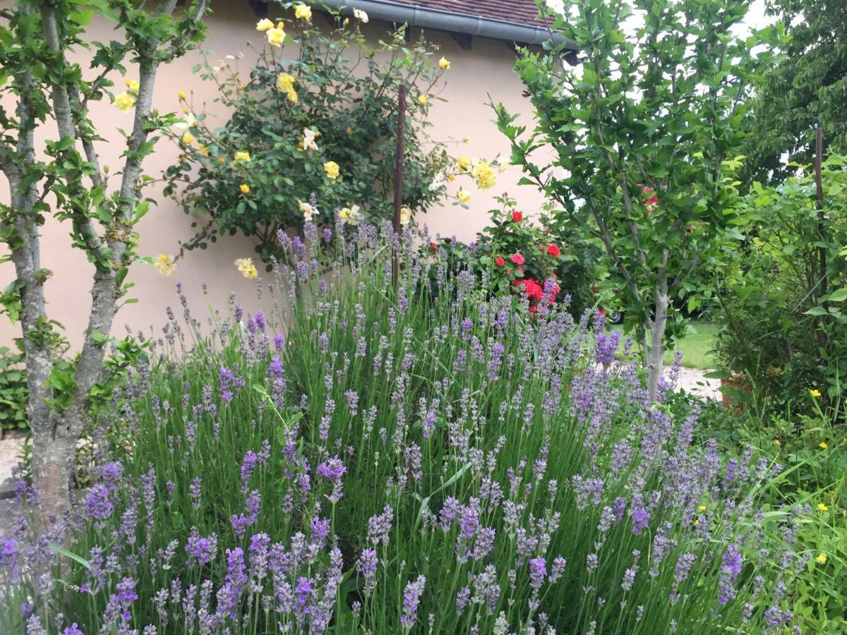 Chantilly ,Petit Dejeuner Et Table D'Hotes Possible Villa Noyers  Exterior foto